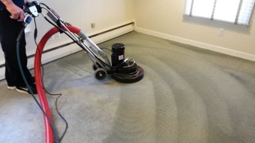 Ecodry Carpet Cleaning Canberra carpet cleaning work in Canberra