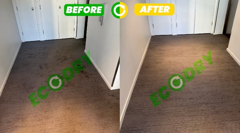 Ecodry Carpet Cleaning Canberra carpet cleaning work in Canberra