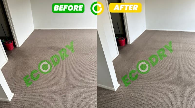 Ecodry Carpet Cleaning Canberra carpet cleaning work in Canberra