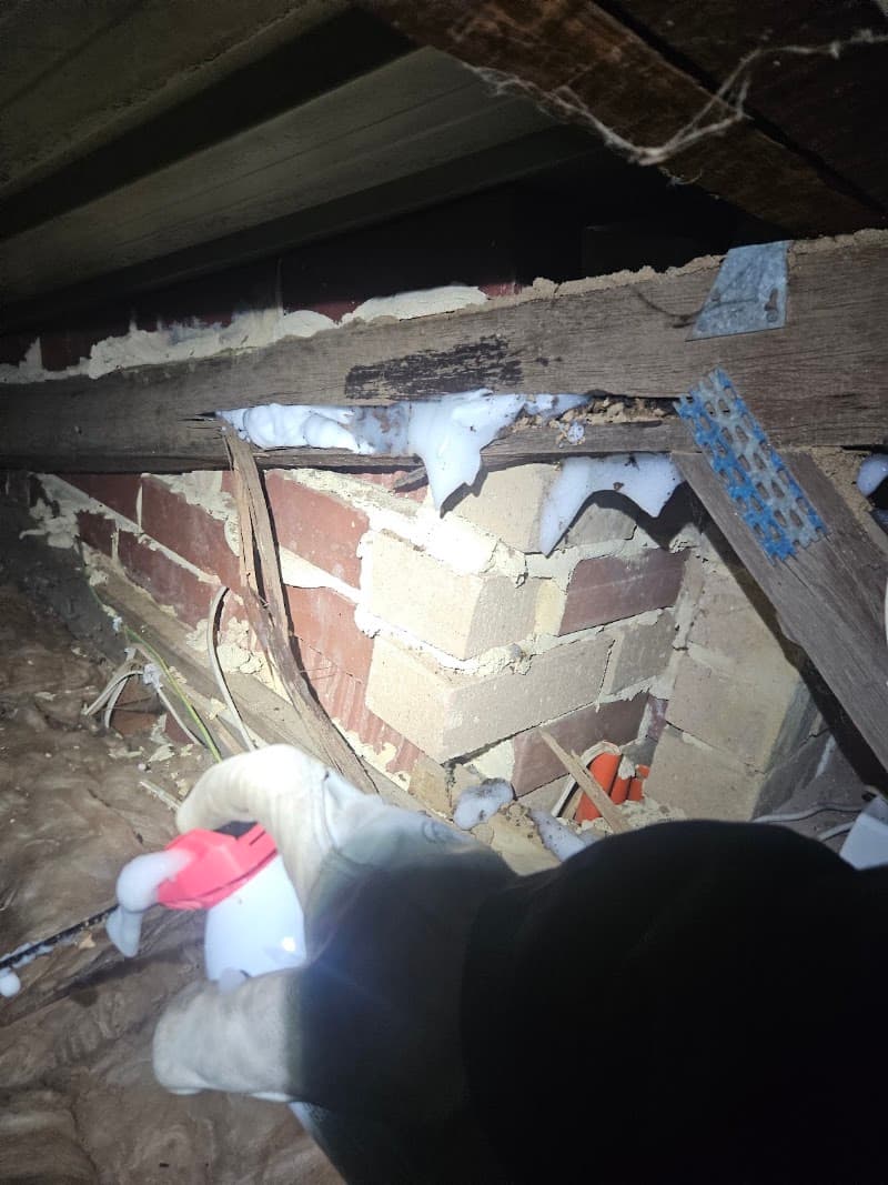 Ecofriendly Pest Control Perth pest control work in Perth
