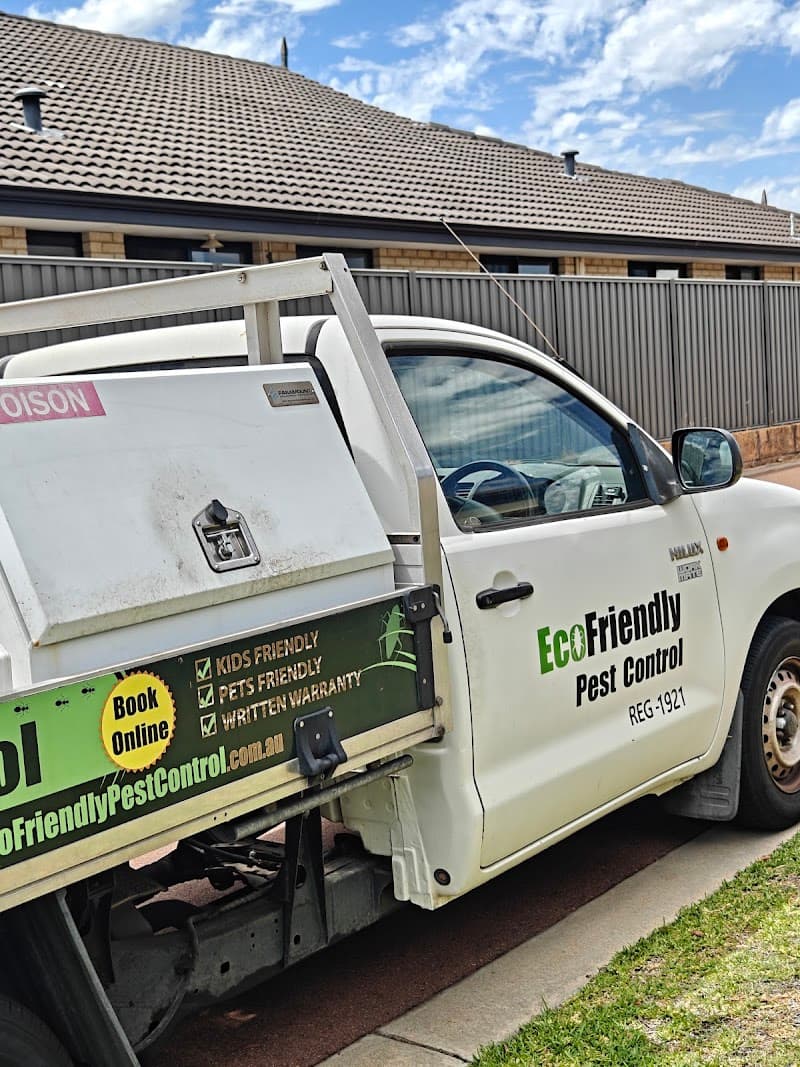 Ecofriendly Pest Control Perth pest control work in Perth