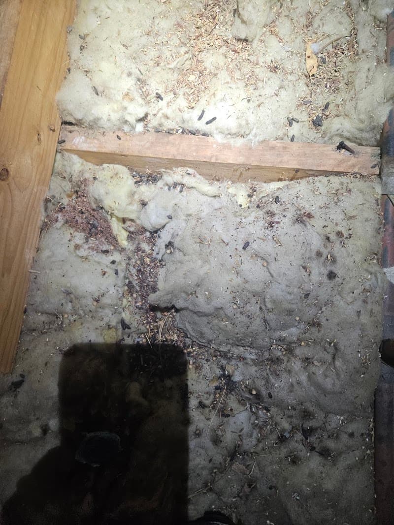 Ecofriendly Pest Control Perth pest control work in Perth