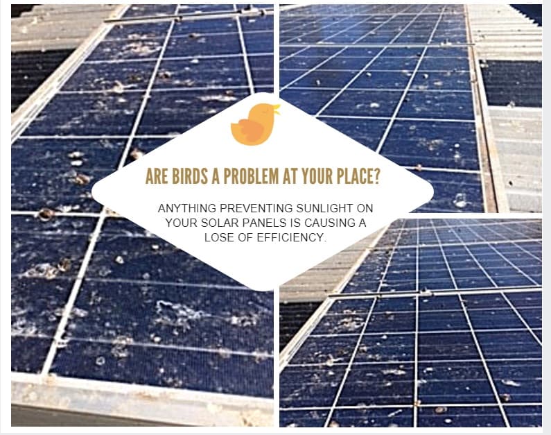 EcoKleenSolar solar panel installation work in Middle Ridge