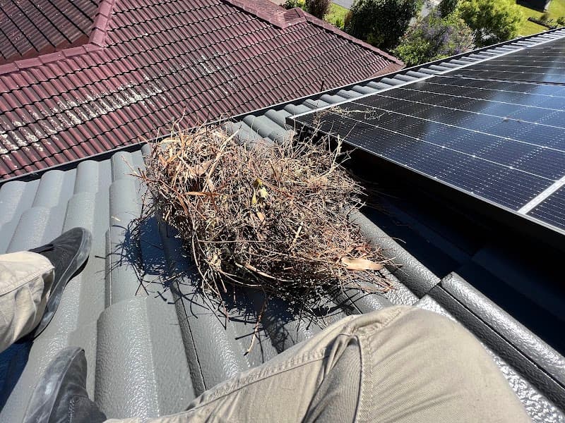 EcoKleenSolar Newcastle solar panel installation work in Morisset