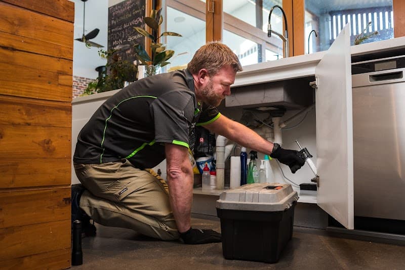 EcoPest Group pest control work in Welland
