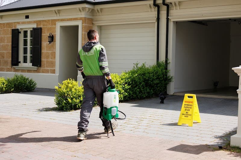 EcoPest Group pest control work in Welland
