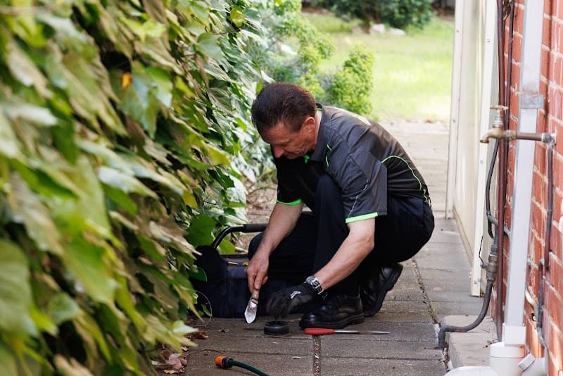 EcoPest Group pest control work in Welland