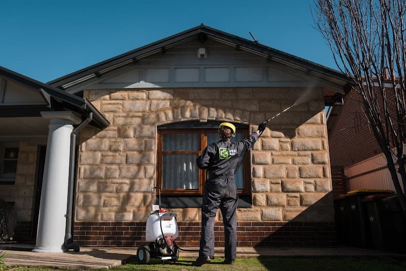 EcoPest Group pest control work in Welland