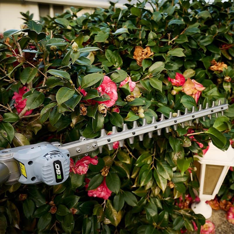 EcoQuiet Mowing & Garden Care Brisbane gardening work in Kelvin Grove