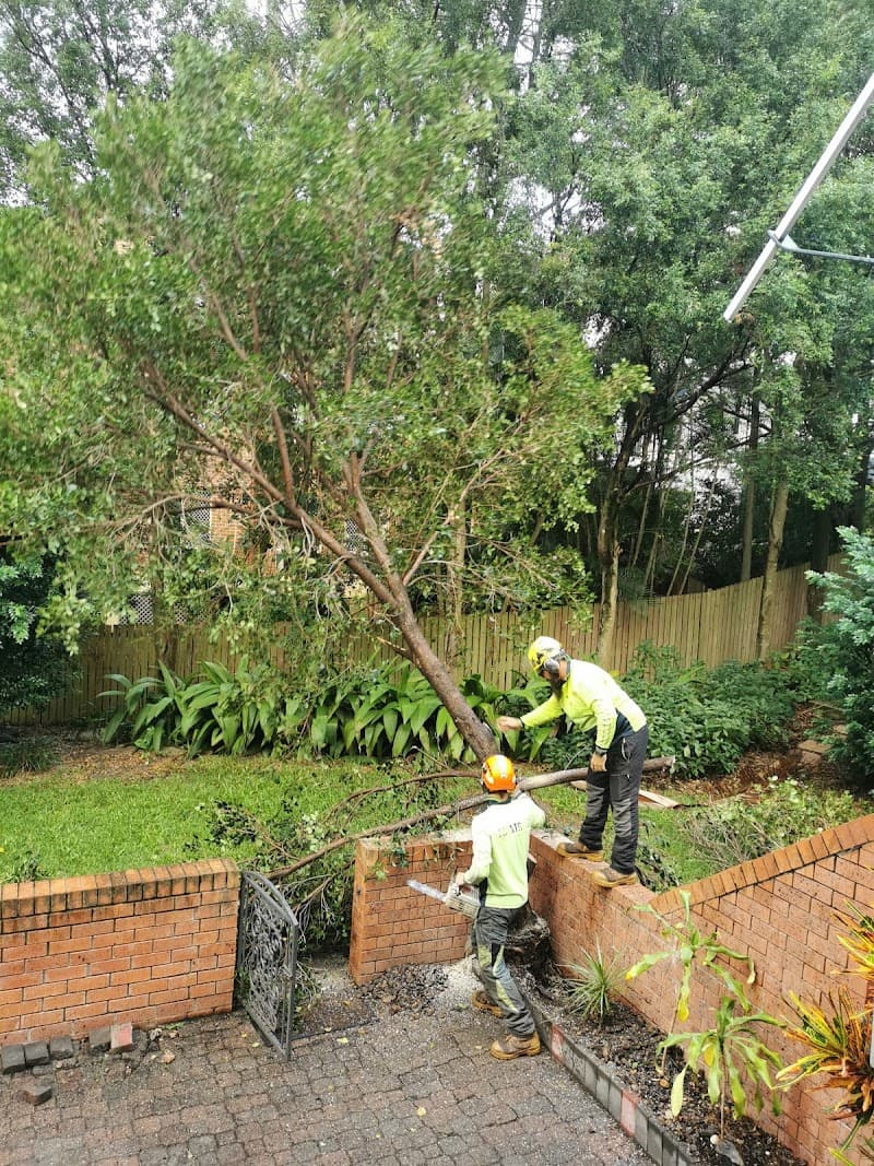 Eden Tree Service tree services work in Chambers Flat
