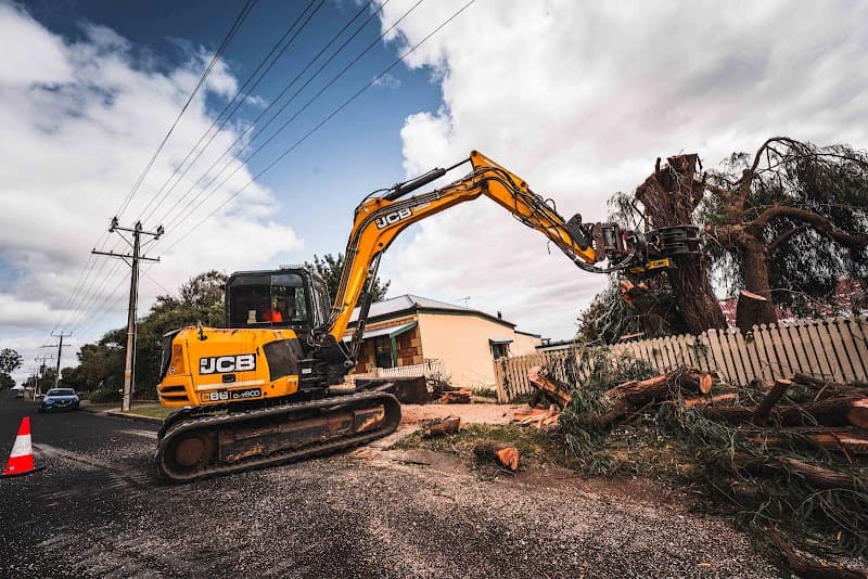 EDI Tree Services tree services work in Mount Gambier