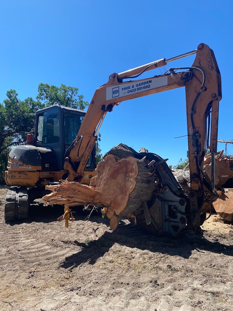 EDI Tree Services tree services work in Mount Gambier