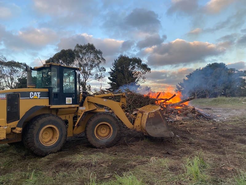 EDI Tree Services tree services work in Mount Gambier