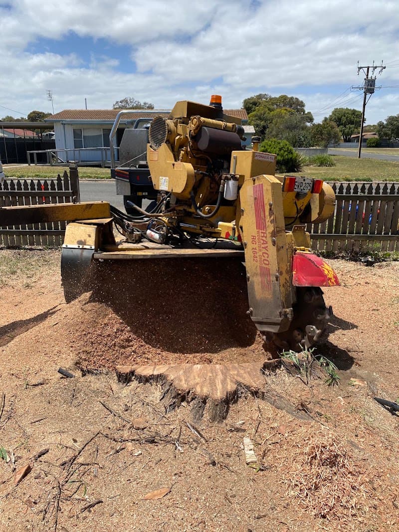 EDI Tree Services tree services work in Mount Gambier