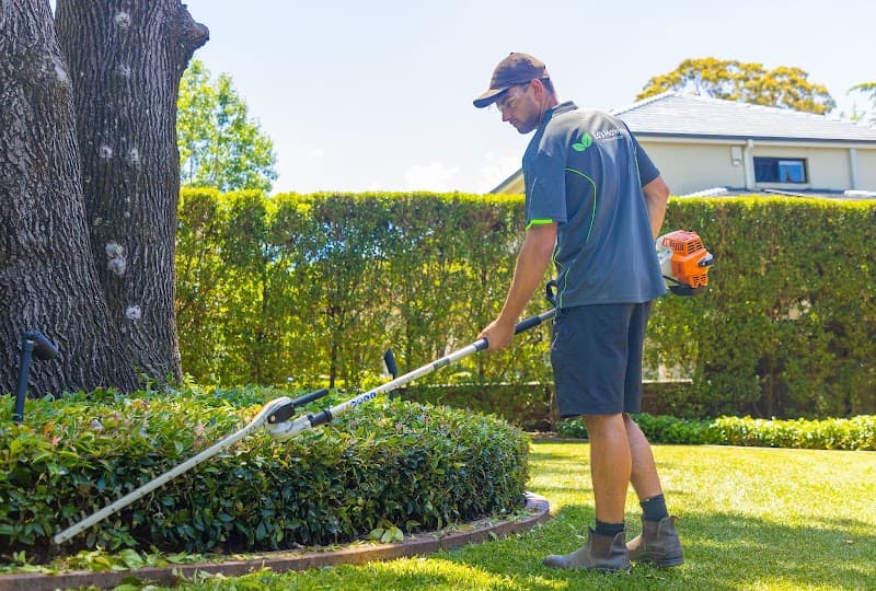 Ed’s Mowing & Maintenance - North Shore lawn care work in Pymble