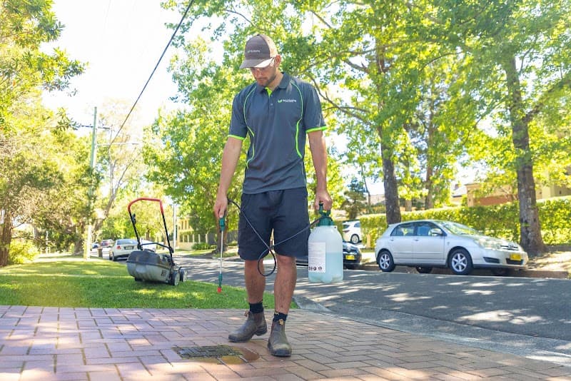 Ed’s Mowing & Maintenance - North Shore lawn care work in Pymble