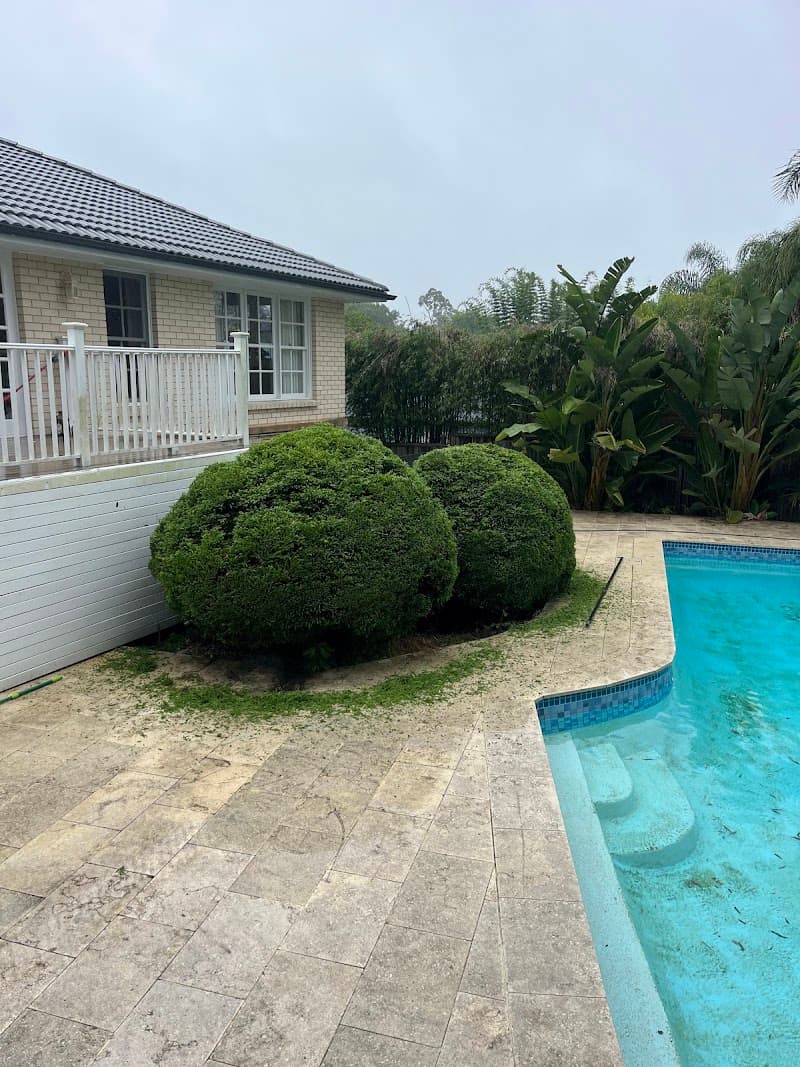 Ed’s Mowing & Maintenance - North Shore lawn care work in Pymble
