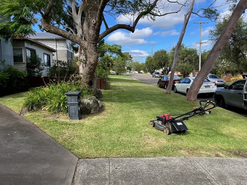 Ed's Mowing & Maintenance - St George lawn care work in Mortdale