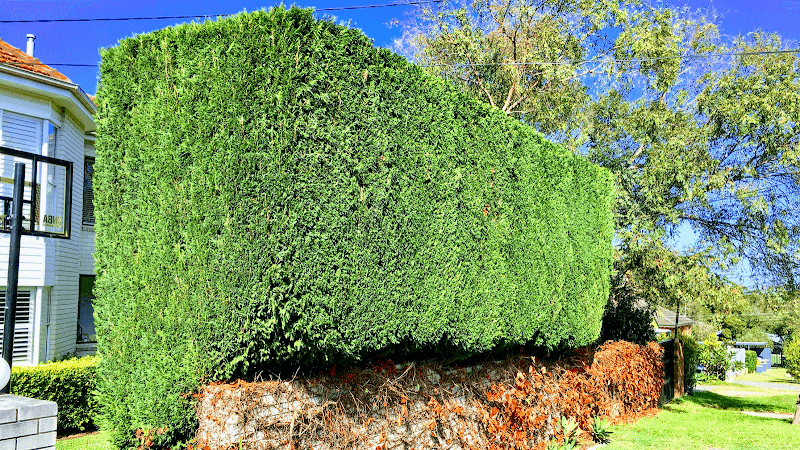 Electric Lawns lawn care work in Narraweena