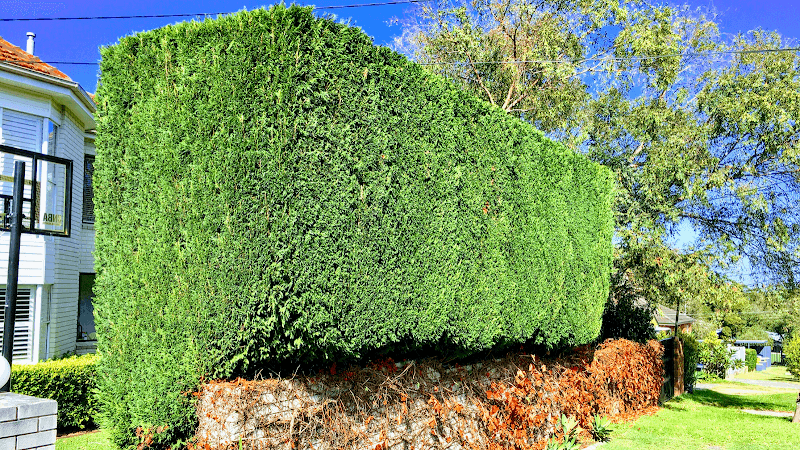 Electric Lawns lawn care work in Narraweena