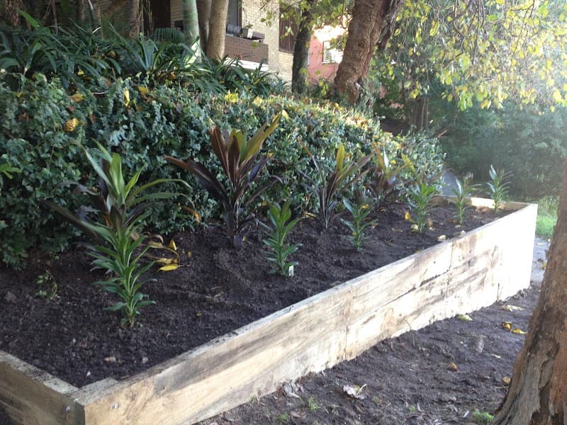 Electric Lawns lawn care work in Narraweena