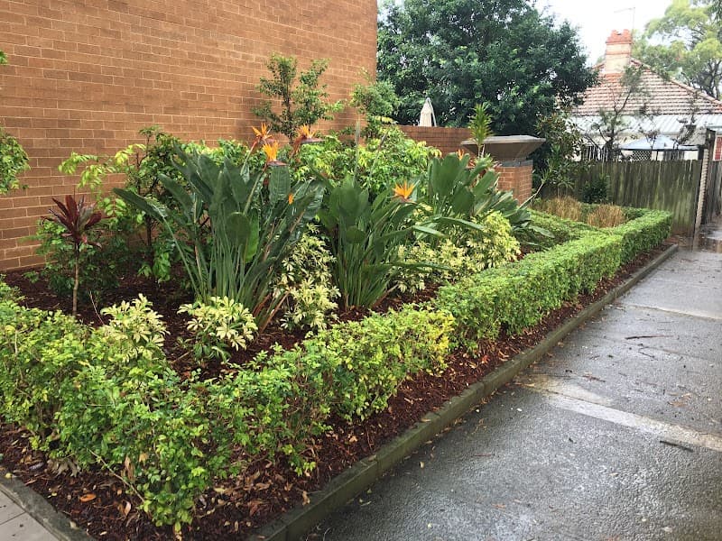 Electric Lawns lawn care work in Narraweena