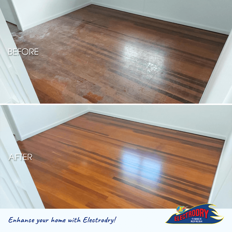 Electrodry Carpet Dry Cleaning Brisbane carpet cleaning work in Virginia