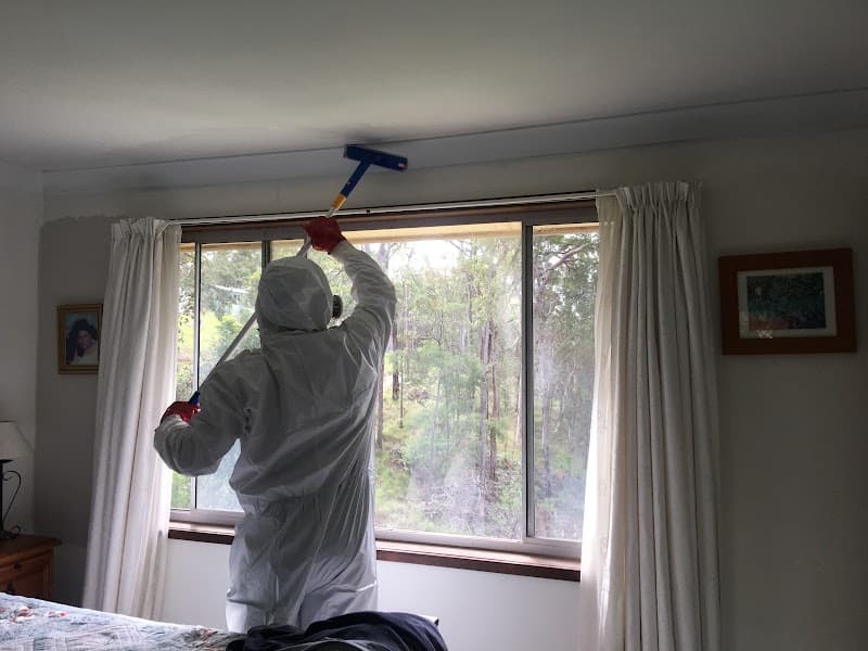 Electrodry Mould Removal Hobart asbestos removal work in Hobart