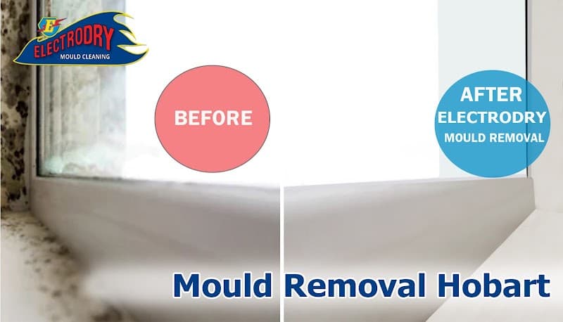Electrodry Mould Removal Hobart asbestos removal work in Hobart