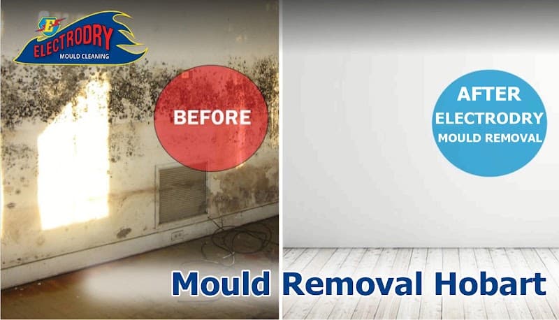 Electrodry Mould Removal Hobart asbestos removal work in Hobart