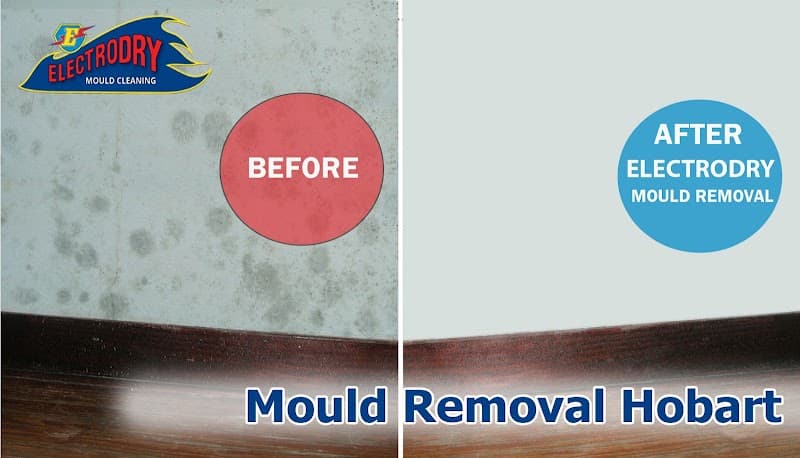 Electrodry Mould Removal Hobart asbestos removal work in Hobart