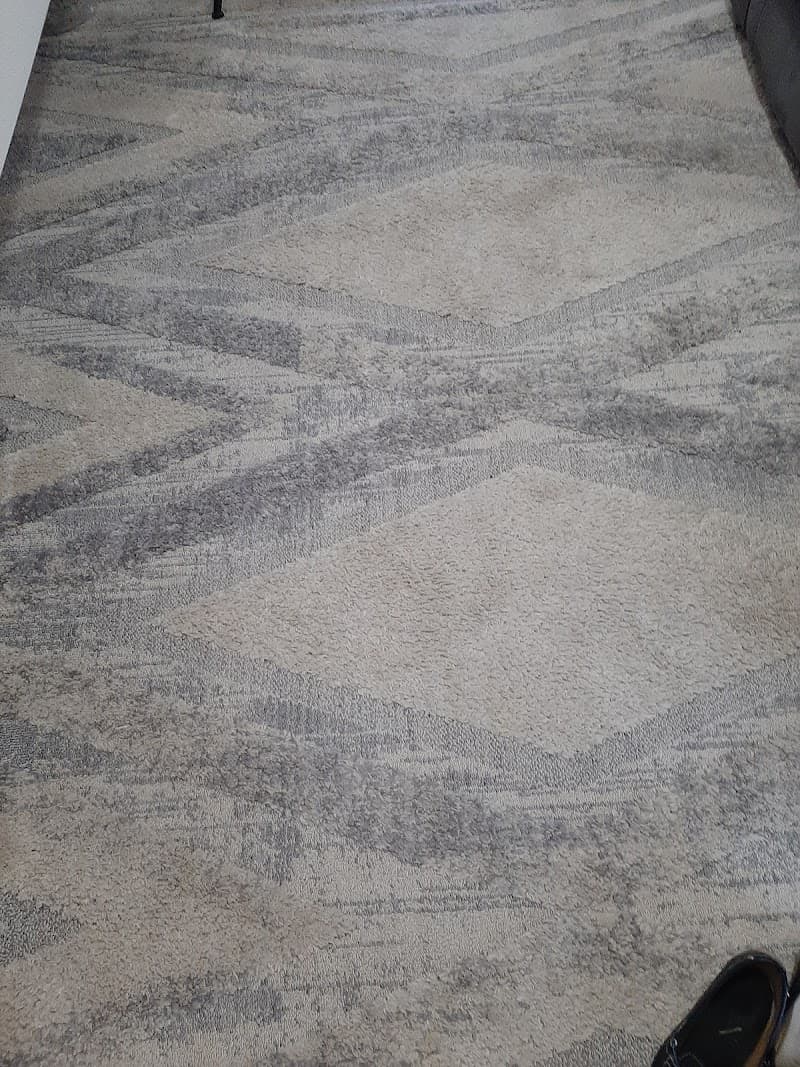 Electrodry Rug Wash Plant carpet cleaning work in Mayfield West