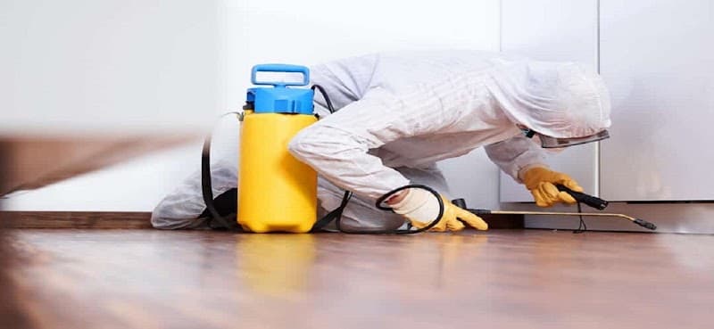 Elite Pest Control Adelaide pest control work in Henley Beach South