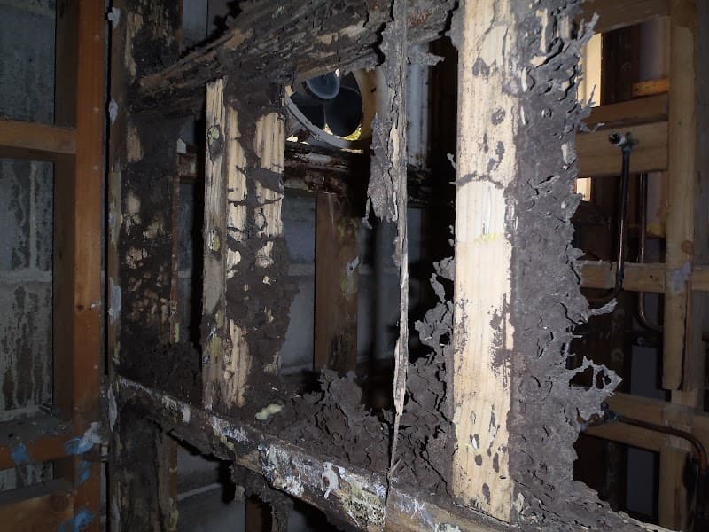 Elite Pest Control Adelaide pest control work in Henley Beach South