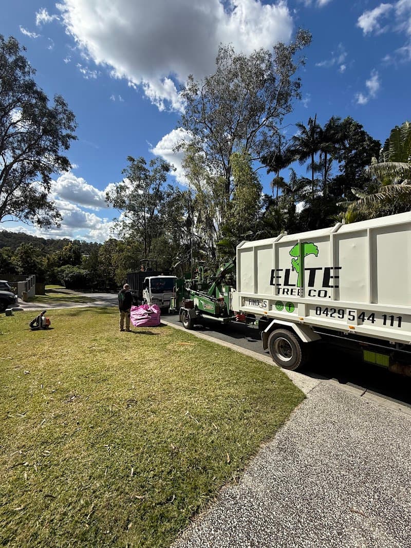 Elite Tree Company tree services work in Palmwoods