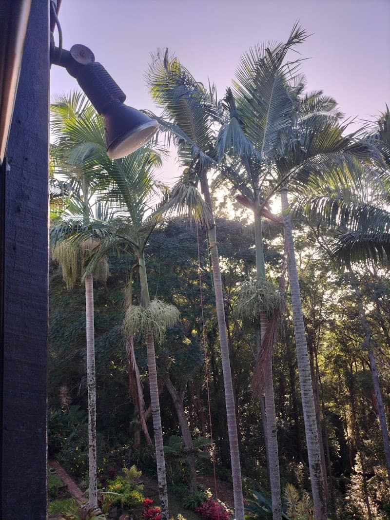 Elite Tree Company tree services work in Palmwoods