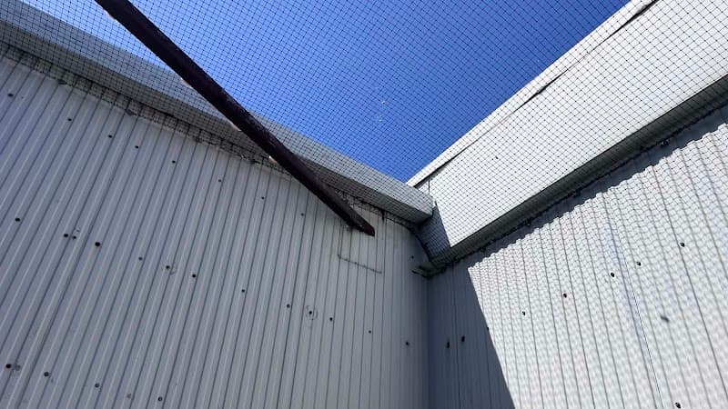 Empire Pest & Proofing Solutions pest control work in Wonbah