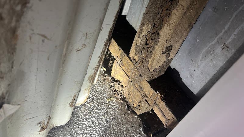 Empire Pest & Proofing Solutions pest control work in Wonbah