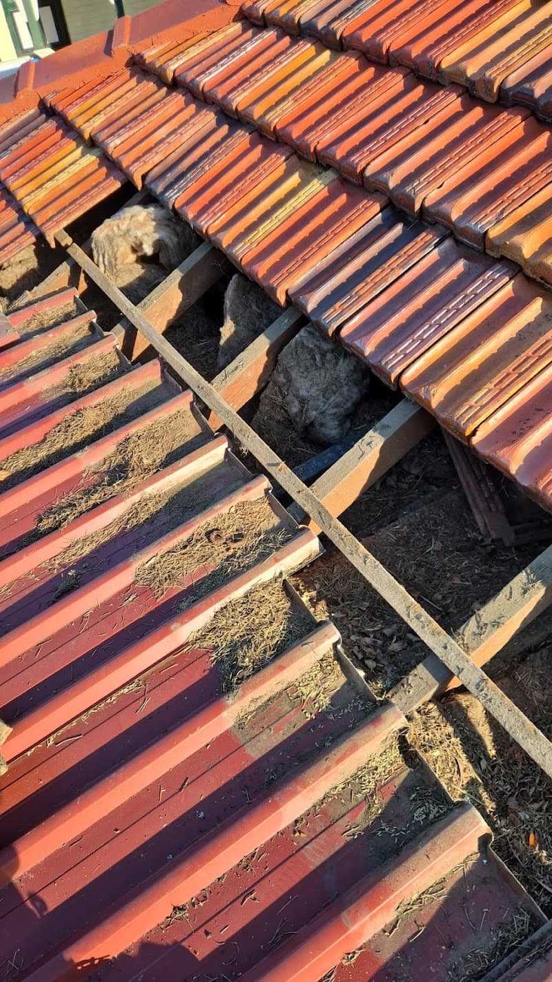 Empire Roofing Repairs and Restoration roofing work in Rydalmere
