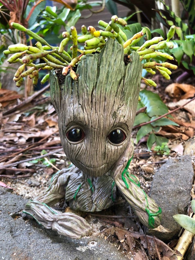 Enchanted Garden World gardening work in Burnett Heads