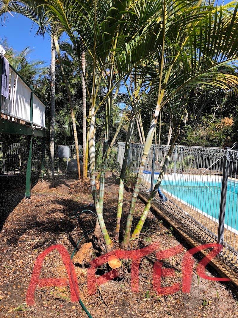 Enchanted Garden World gardening work in Burnett Heads