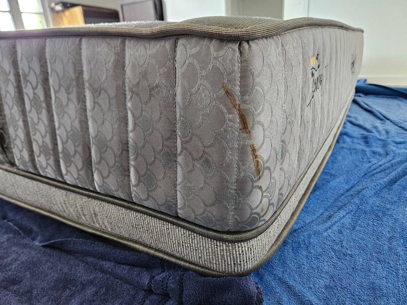 Enterprise Carpet Cleaning carpet cleaning work in Burpengary
