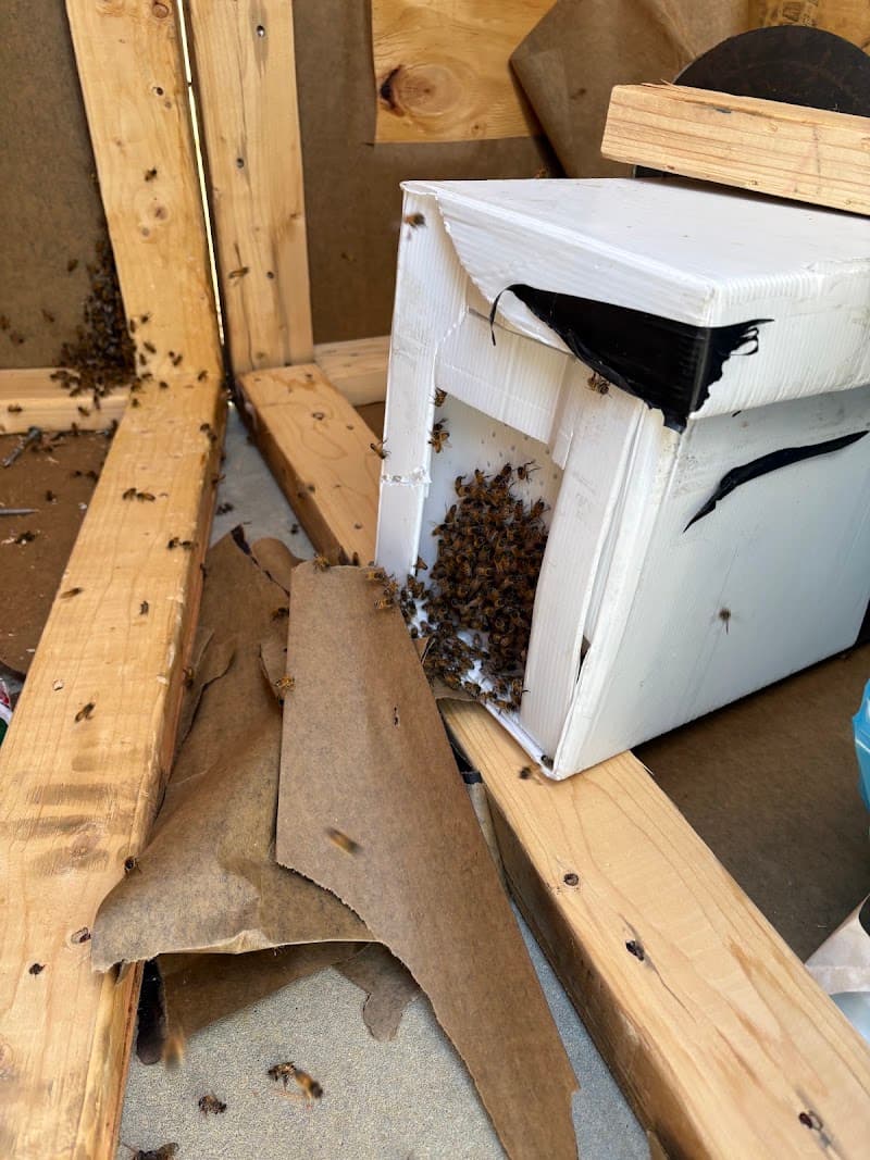 Enviro Pest Control Perth pest control work in Perth
