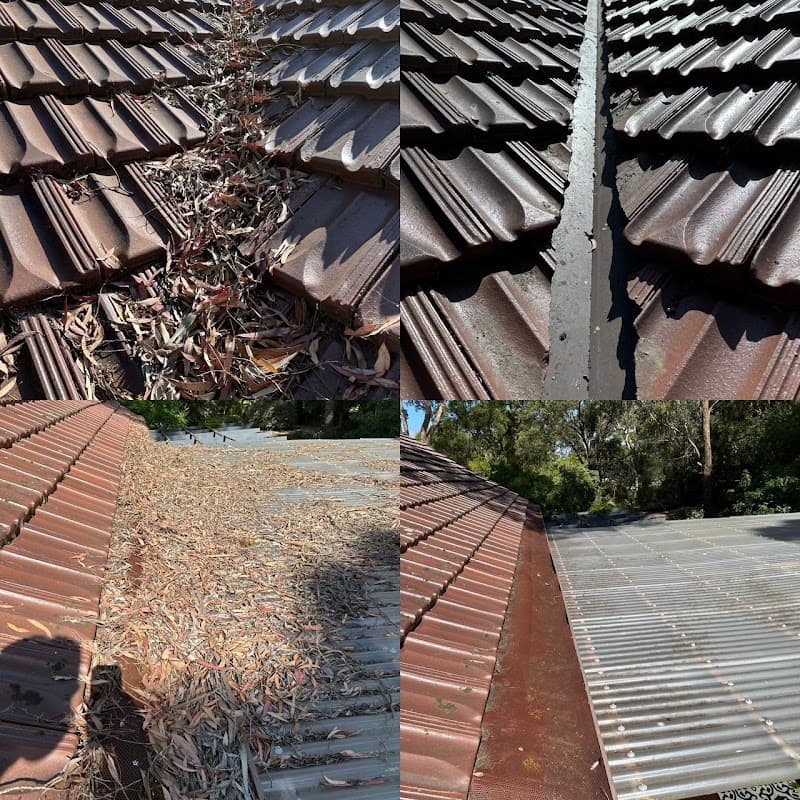 Enviro Vac Services | Vacuum Gutter Cleaning gutter cleaning work in Ocean Grove