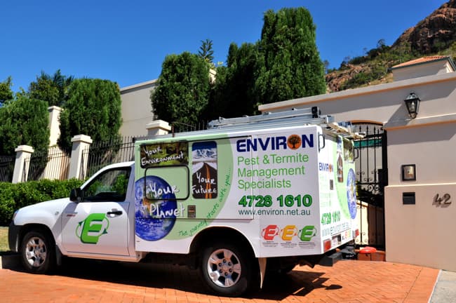 Environ Pest Control pest control work in Garbutt