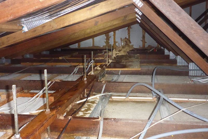Environ Pest Control pest control work in Garbutt