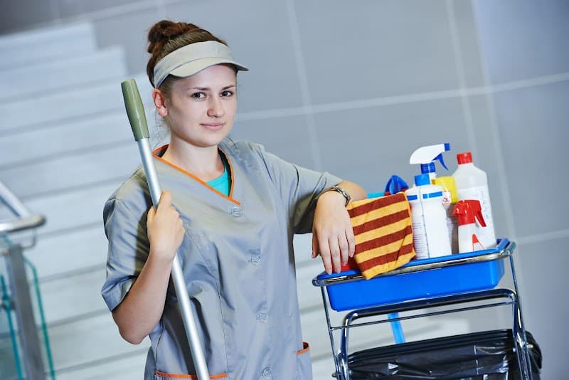 Environmental Cleaning Solutions Canberra oven & bbq cleaning work in Canberra