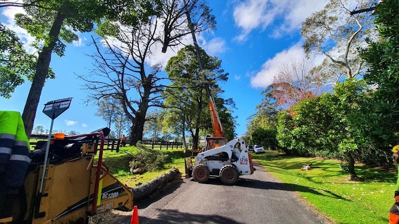 EnviroPro Tree Solutions tree services work in Empire Bay