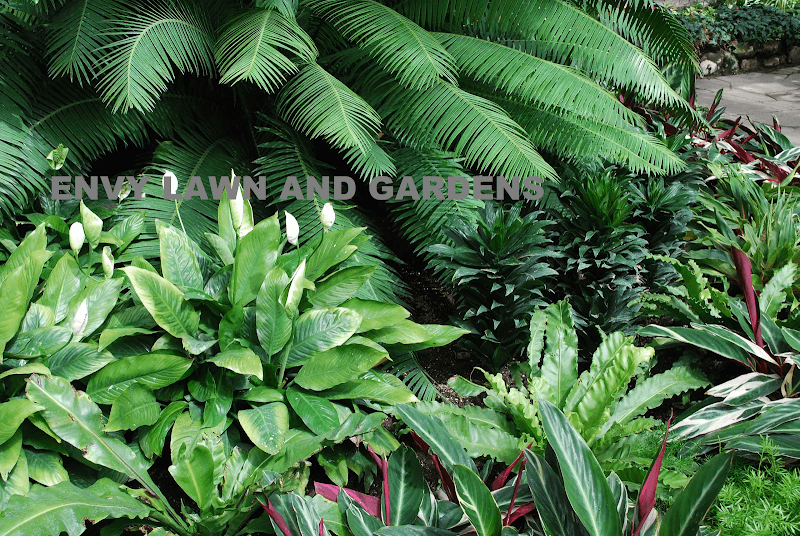 Envy lawn and gardens gardening work in Blacks Beach