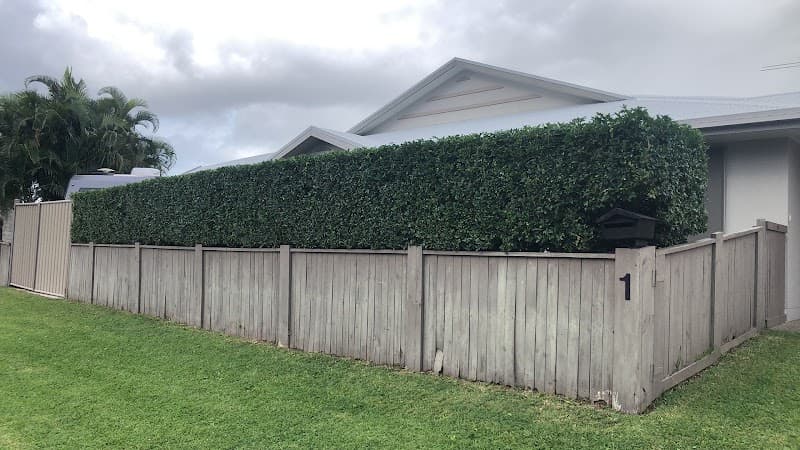 Envy lawn and gardens gardening work in Blacks Beach